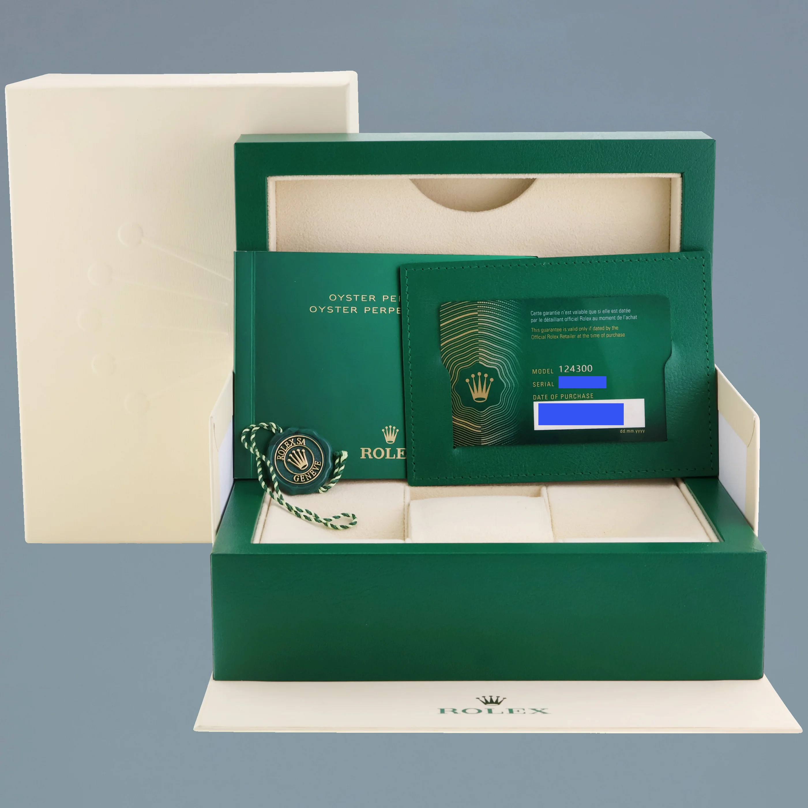 2022 NEW PAPERS Rolex Oyster Perpetual 41mm Silver Oyster 124300 Watch Box - Image 7